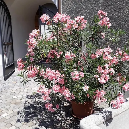 Aux Trois Soleils לינה וארוחת בוקר שברה