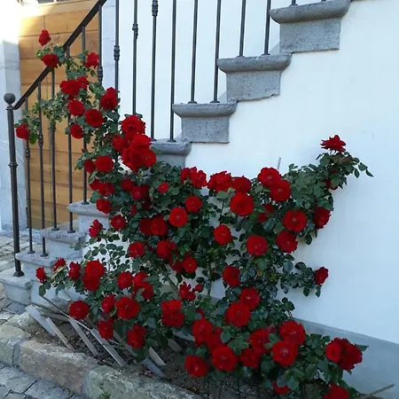 Bed & Breakfast Aux Trois Soleils Chexbres