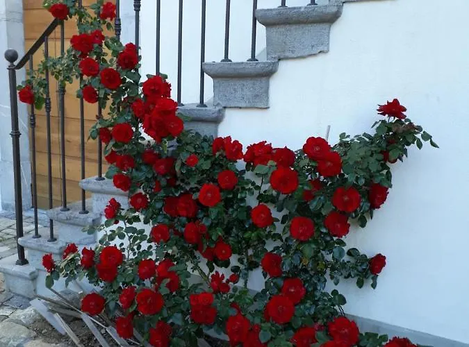 Bed & Breakfast Aux Trois Soleils Chexbres