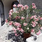 Aux Trois Soleils Bed and breakfast Chexbres