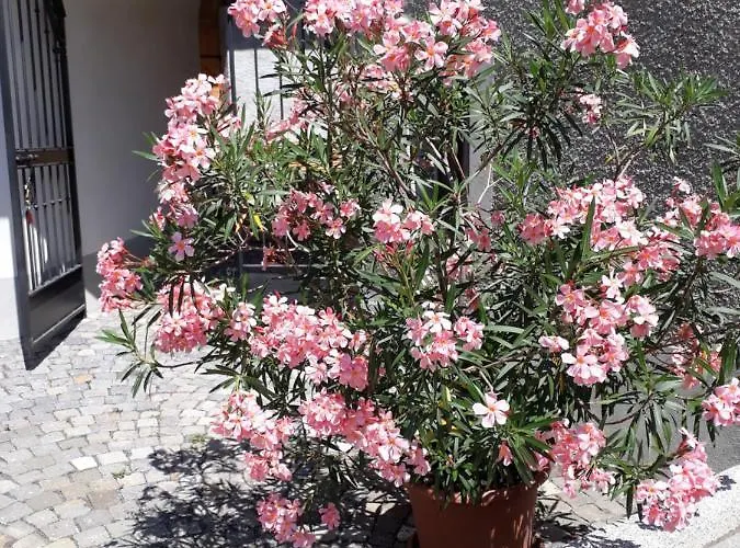 Aux Trois Soleils B&B 쉐브레스